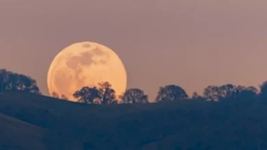 صورة 19 صورة مذهلة لقمر “القندس العملاق” المتوقع ظهوره في 5 نوفمبر