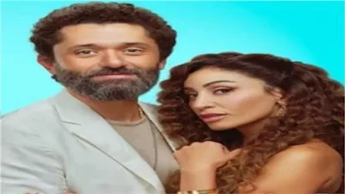 صورة بوستر”طلقني” لـ دينا الشربيني وكريم يُثير الجدل.. كيف علق الجمهور؟