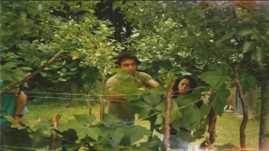 صورة يُعرض في “القاهرة السينمائي”.. تعرف على قصة “ثريا حبي” وكواليس صناعته