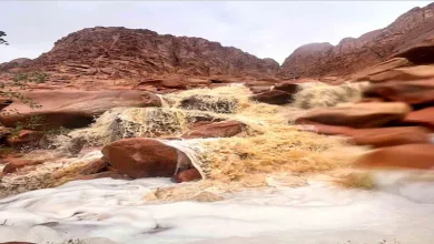 صورة أغرب 5 عادات للضيافة في العالم.. بيقدموا للضيف مياه المطر