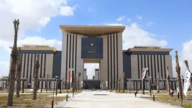 صورة اختطاف 3 مصريين في مالي.. و«الخارجية»: لم نتلقَّ أي تواصل من الجهة الخاطفة  أخبار السعودية
