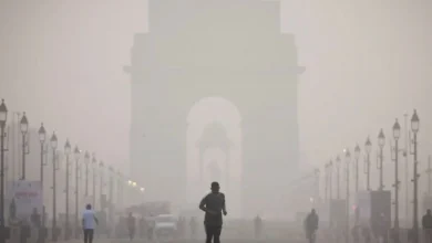 صورة نيودلهي تختنق.. مؤشر التلوث يلامس الحد الأقصى!  أخبار السعودية