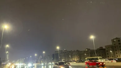 صورة «العروس» تتنفس نسيم المطر  أخبار السعودية