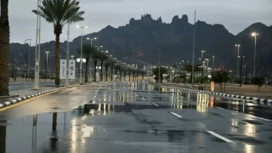 صورة «الأرصاد»: أمطار وتساقط للبرد على منطقة حائل  أخبار السعودية