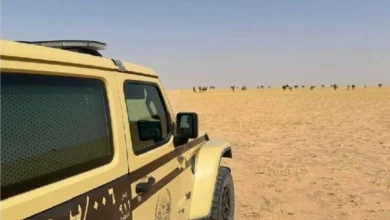 صورة ضبط مواطن مخالف لنظام البيئة لارتكابه مخالفة رعي في محمية الملك عبدالعزيز الملكية  أخبار السعودية