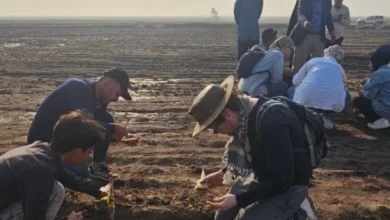 صورة اكتشاف موقع أثري عسكري نادر جنوبي العراق  أخبار السعودية