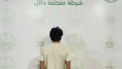 صورة القبض على مقيم تحرّش بامرأة بمنطقة حائل  أخبار السعودية