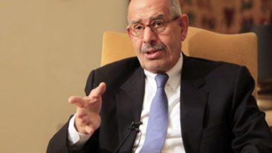 صورة هكذا وصف البرادعي قرار مجلس الأمن بشأن غزة وخطة ترامب للسلام