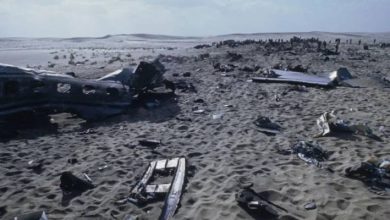صورة | ابنة عكا لطفية دلال تروي لرؤيا مأساة استشهاد طفلها وأمها في الطائرة الليبية عام 1973