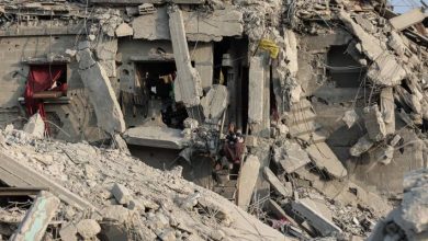 صورة | مصر تكشف عن تحركات دولية لاستصدار قرار من مجلس الأمن يؤيد “خطة ترمب” للسلام في غزة