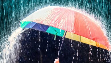 صورة | بين “أيلول” و”أواخر تشرين الثاني”.. تفاوت موعد “أول شتوة” في عمان خلال آخر 6 سنوات