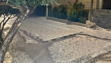 صورة | مراسل رؤيا: أمطار رعدية وتساقط كثيف للبرد في محافظة عجلون.. فيديو