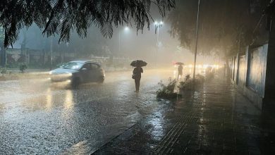صورة | “طقس العرب”: اشتداد حالة عدم الاستقرار الساعات القادمة ومخاوف من سيول مفاجئة في الأغوار