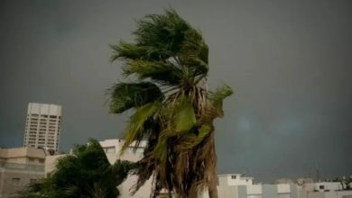 صورة | ارتفاع تدريجي على درجات الحرارة في الأردن وتحذير من رياح مثيرة للغبار في البادية