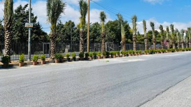 صورة | الأشغال تبدأ تنفيذ تحويلات مسائية على طريق السلط – السرو لأعمال الصيانة