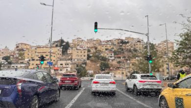 صورة | البث المباشر