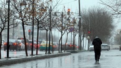 صورة | الأرصاد: طقس مائل للبرودة الأربعاء وارتفاع تدريجي على الحرارة نهاية الأسبوع في الأردن