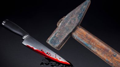 صورة | “كيبل، شاكوش، ومشرط”.. أعمال شاقة لأربعيني قتل زوجته ووثق جريمته بالفيديو