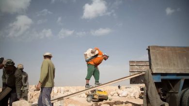 صورة | العمل لـ”رؤيا” عقوبات صارمة للعامل والمشغل المخالف تصل للتسفير والغرامات فيديو