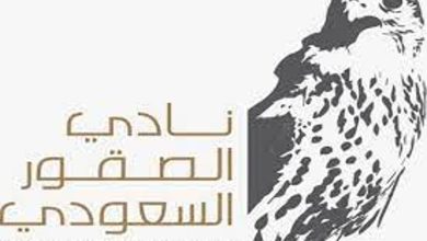 صورة اليوم.. انطلاق كأس نادي الصقور السعودي 2025 بالمنطقة الشرقية