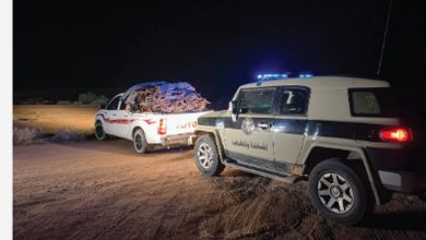 صورة ضبط مواطن بحوزته حطب محلي معروض للبيع في منطقة حائل