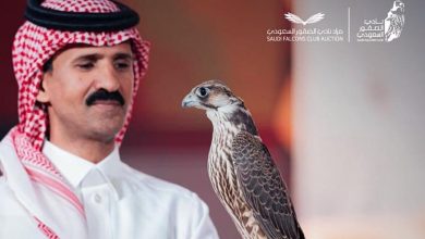 صورة أكثر من 4.5 ملايين ريال مبيعات مزاد نادي الصقور السعودي 2025 في 18 ليلة
