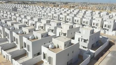 صورة خبير: المزادات تعكس القيمة الحقيقية للسوق العقارية