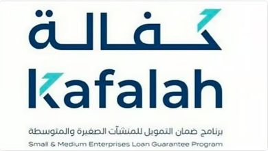 صورة مسؤول يوضح أهمية توفير التمويل للمنشآت المؤثرة بالاقتصاد