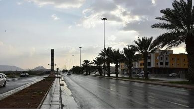 صورة طقس المملكة الثلاثاء.. رياح نشطة وتكوّن للضباب على عدة مناطق