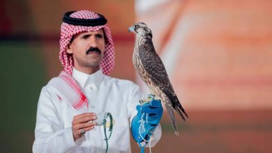 صورة بيع صقرين بـ385 ألف ريال في الليلة الـ 21 لمزاد نادي الصقور السعودي 2025