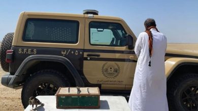 صورة بحوزته صقر و3 كائنات فطرية.. القبض على مخالف لارتكابه الصيد دون ترخيص في ينبع