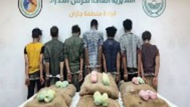 صورة حرس الحدود بجازان يقبض على 7 يمنيين لتهريبهم 120 كيلوجرامًا من القات المخدر