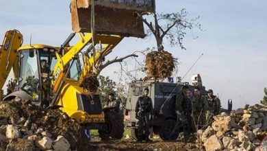 صورة الاحتلال يجرف أراضٍ ويقتلع أشجار زيتون في بلدة بيتا