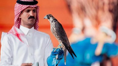 صورة بيع صقرين بـ156 ألف ريال في الليلة الـ 24 لمزاد نادي الصقور السعودي 2025