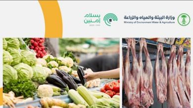 صورة بيئة الجوف تضبط 14 مخالفة خلال 996 جولة رقابية على أسواق النفع العام والمسالخ