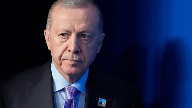 صورة أردوغان ونظيره الجورجي يبحثان ملابسات تحطم الطائرة التركية المنكوبة