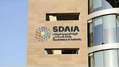 صورة «سدايا» توضح مبادئ تصنيف البيانات المعتمدة لديها