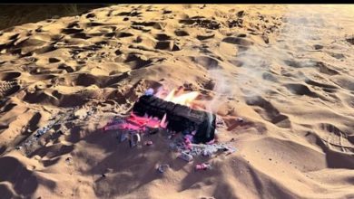 صورة ضبط مواطن مخالف لنظام البيئة في محمية الملك عبدالعزيز الملكية