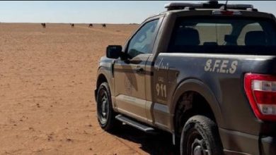 صورة ضبط مواطن لارتكابه مخالفة رعي في محمية الإمام عبدالعزيز بن محمد الملكية