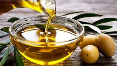 صورة المناخ هذا العام أثر بشكل كبير على إنتاج زيت الزيتون
