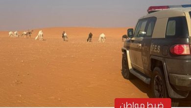 صورة ضبط مواطن للارتكابه مخالفة رعي في محمية الإمام عبدالعزيز الملكية