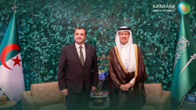 صورة  وزير الطاقة يبحث التعاون المشترك مع وزير الدولة والمحروقات والمناجم في الجزائر