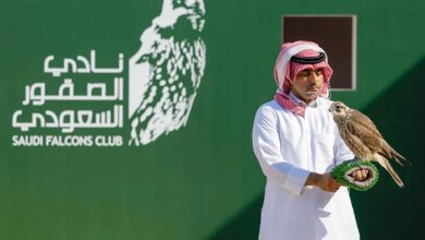 صورة 308 صقور تتنافس بأشواط الملاك في ثالث أيام كأس نادي الصقور السعودي 2025