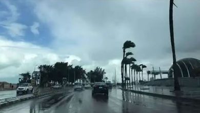 صورة طقس المملكة الأربعاء.. أمطار رعدية متوسطة إلى غزيرة ورياح نشطة على عدة مناطق