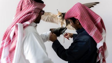 صورة إقبال لافت على توثيق ملكية الصقور في منافسات كأس نادي الصقور 2025 بالخبر