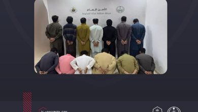 صورة القبض على 13 مقيمًامن الجنسية الباكستانية لسرقتهم مواشٍ في الطائف