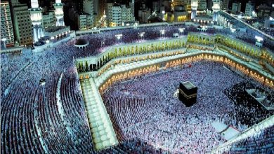 صورة زيادة أعداد المفتين في عدة مواقع للإجابة المباشرة على أسئلة الزوار