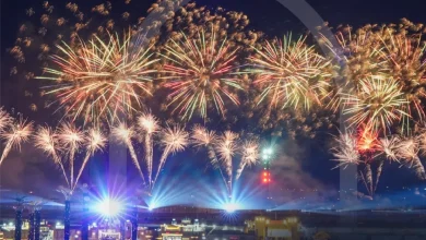 صورة تحت رعاية رئيس الدولة.. مهرجان الشيخ زايد 20252026 ينظم فعالياته في أبوظبي
