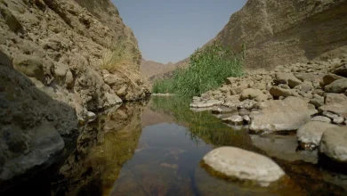 صورة محمية وادي الوريعة.. خطى واثقة نحو إدراجها ضمن قائمة التراث العالمي
