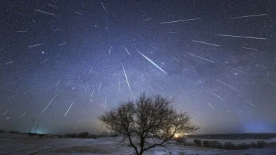 صورة زخات شهب الأسديّات تتلألأ في سماء الإمارات خلال نوفمبر